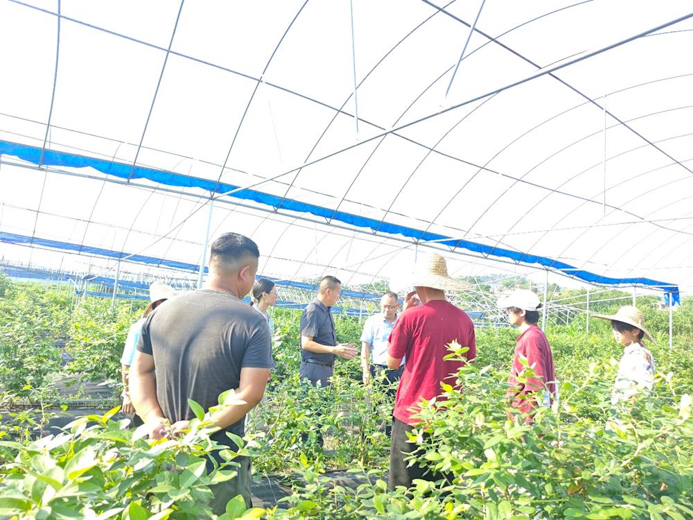 82778b130b124b71a7d5c0f8e4c79a2f.jpg 82778b130b124b71a7d5c0f8e4c79a2f.jpg