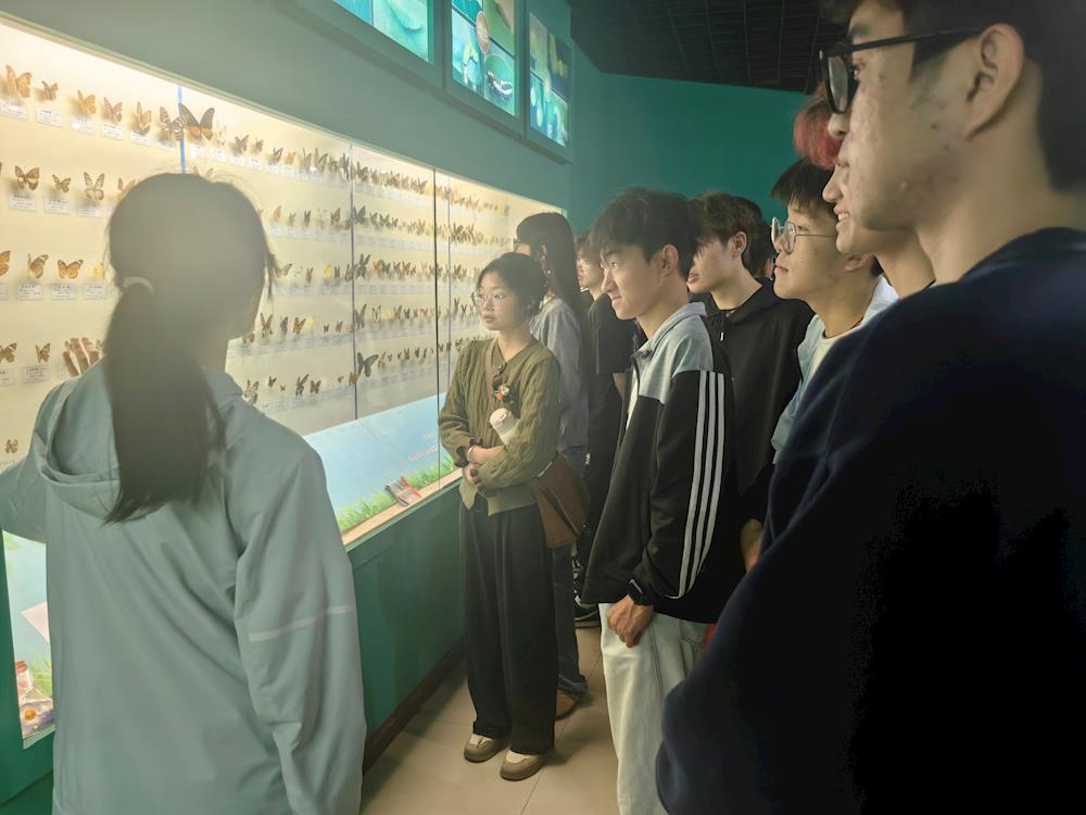 36d6a769866f450cad1753a0cd5cea13.jpg 36d6a769866f450cad1753a0cd5cea13.jpg