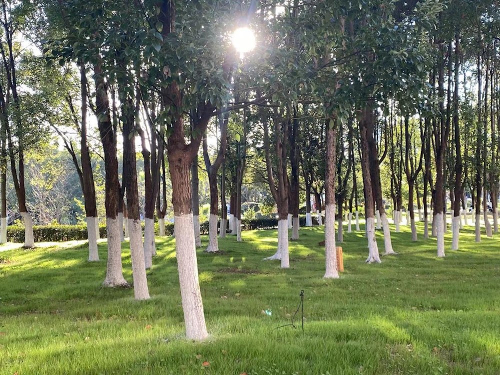 2404d6d840f74b55a79e5aca03389de3.png 2404d6d840f74b55a79e5aca03389de3.png