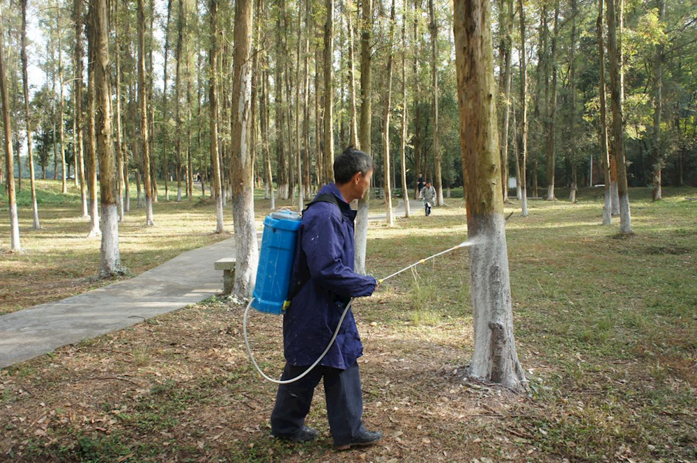 c25a761071584ef78be7b81e5bae709e.png c25a761071584ef78be7b81e5bae709e.png