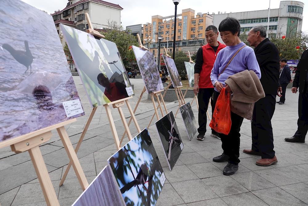 f8c2fd8196564661b4fb38938436f257.jpg f8c2fd8196564661b4fb38938436f257.jpg