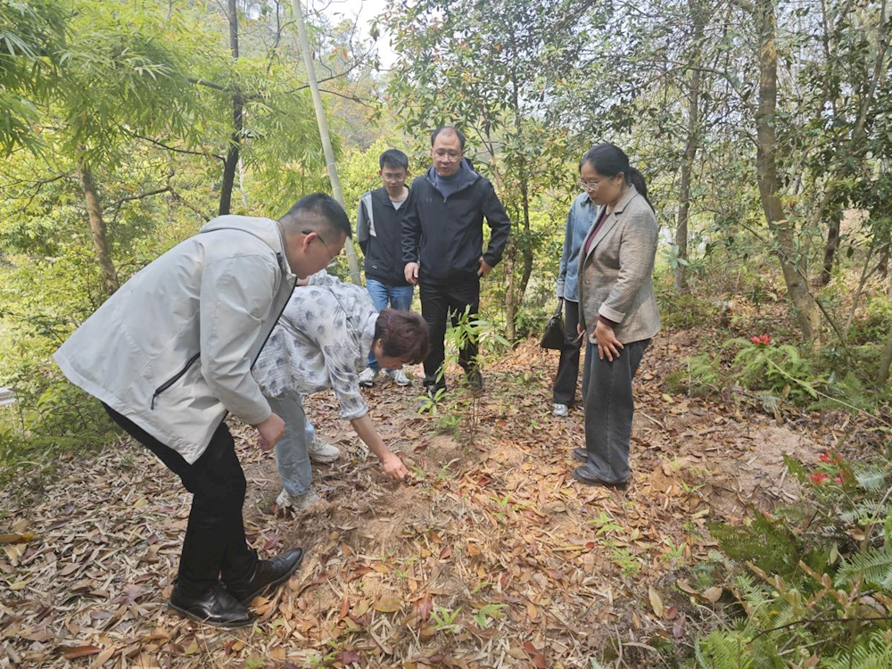 49691d1e451245a29957ba64bae628df.png 49691d1e451245a29957ba64bae628df.png