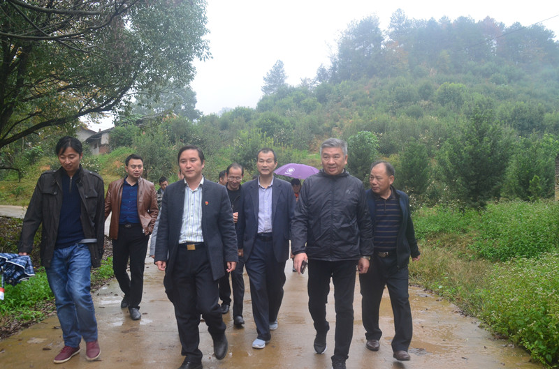 微信图片_20181******44909.jpg