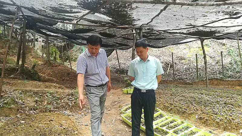 QQ图片20170******93611.jpg