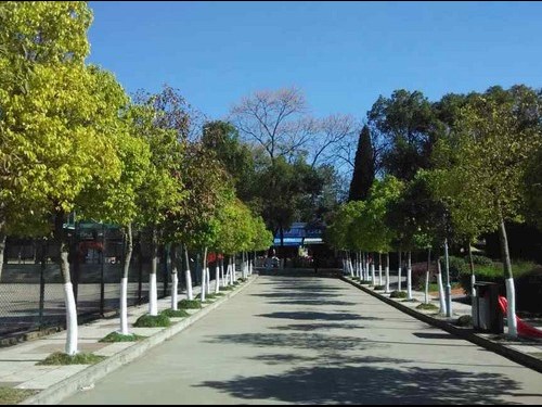 校园风景