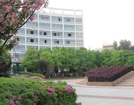校园风景