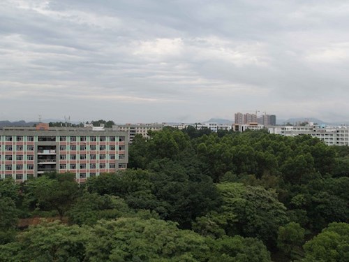 校园风景