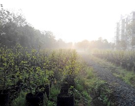 校园风景