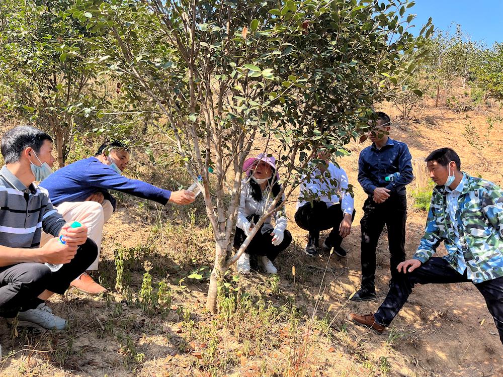 bdf******407440218ea0025c5106e9d7.jpg bdf******407440218ea0025c5106e9d7.jpg