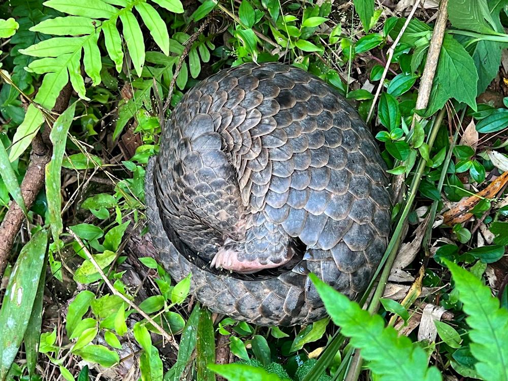 7d99cd2c009f40029db7d0b6ed98164d.jpg 7d99cd2c009f40029db7d0b6ed98164d.jpg