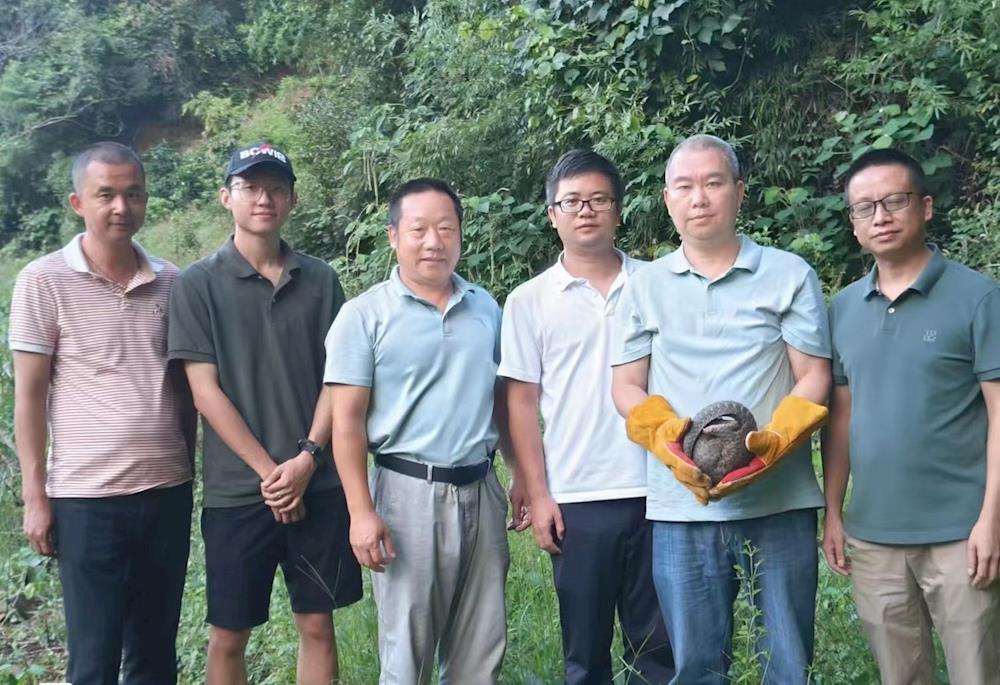 597cf95f5ed54647b5f95b3837f01baf.jpg 597cf95f5ed54647b5f95b3837f01baf.jpg