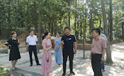 江西农业大学专家指导学院中草药栽培基地苗木项目建设