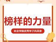 林业学院2024届考研优秀学子风采展(二）