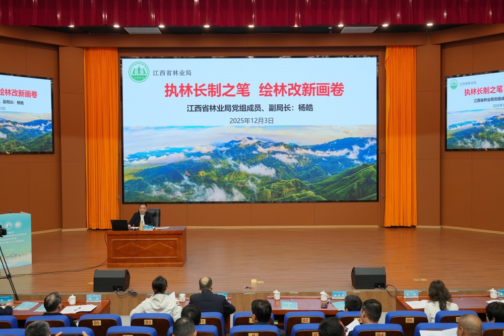 9、杨皓
