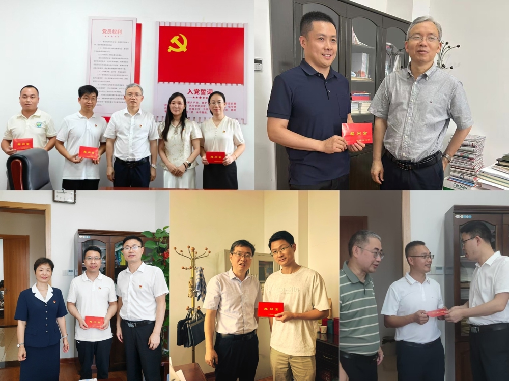 图片5