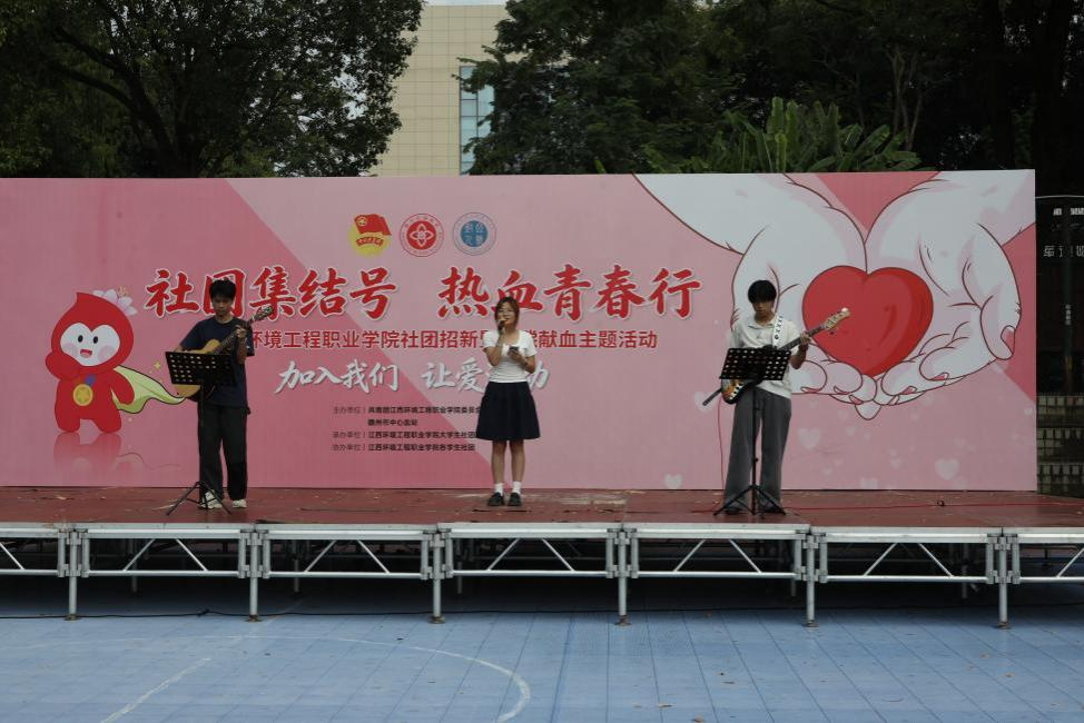 图片11