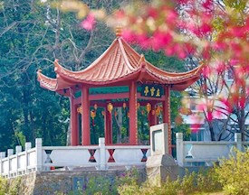 校园风景图
