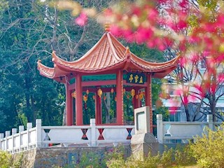 校园风景图