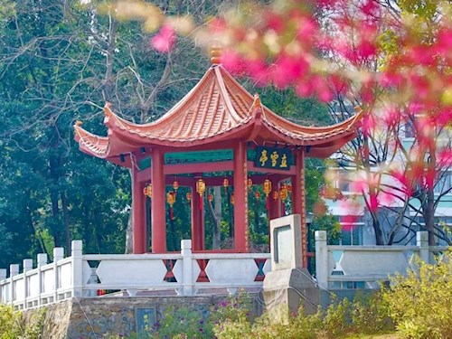 校园风景图