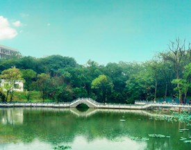 校园风景图