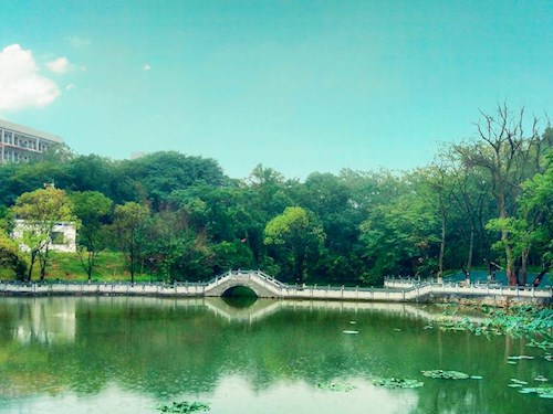 校园风景图