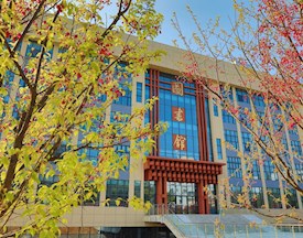 校园风景图